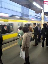 24291.jpg