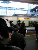 24305.jpg