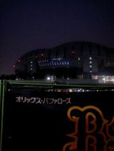 24334-3.jpg