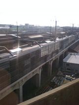 24355.jpg