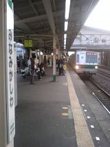 24367.jpg
