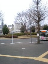 24378-3.jpg