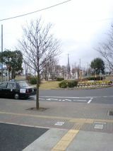 24380-4.jpg
