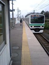 24381.jpg