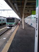 24383.jpg