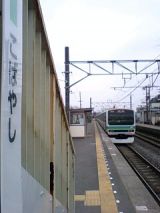 24384.jpg