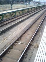 24398-1.jpg