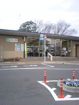 24400-1.jpg