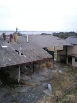 24404-1.jpg