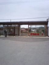 24409-2.jpg