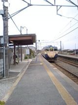 24409.jpg