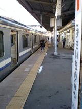 24433.jpg