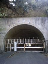 24444-3.jpg