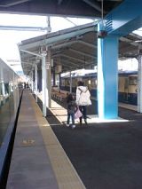 24450.jpg