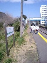 24454.jpg