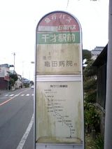 24458.jpg
