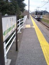 24459.jpg