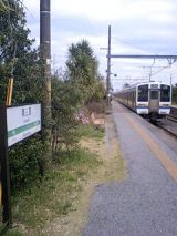 24460.jpg