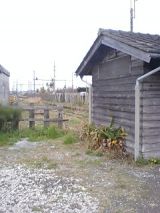 24461-2.jpg