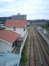 24469-3.jpg
