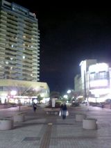 24481-3.jpg