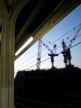 24493-1.jpg