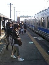 24497-1.jpg