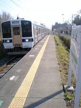 24499.jpg