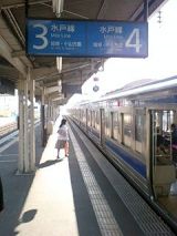 24501.jpg