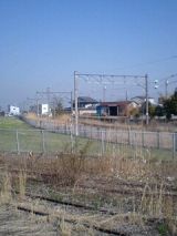 24503-1.jpg