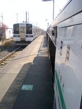 24504.jpg