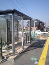 24505-1.jpg