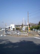 24506-1.jpg