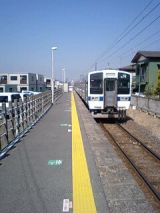 24506.jpg
