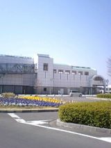 24508-1.jpg