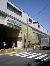 24522-1.jpg
