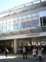24526-2.jpg