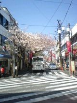 24526-3.jpg