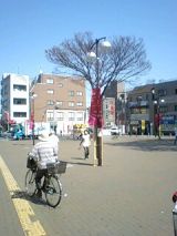 24528-1.jpg