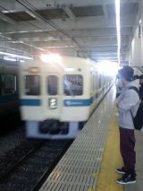 24531.jpg