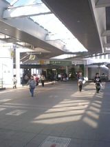 24538-2.jpg