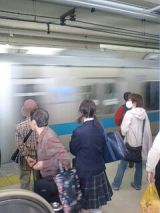 24542.jpg