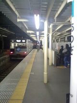 24556.jpg
