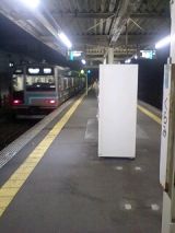 24559.jpg
