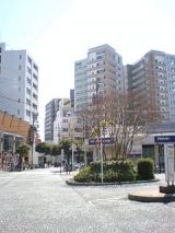 24572-3.jpg