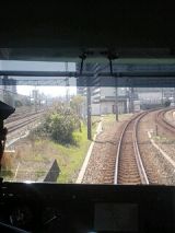24584.jpg