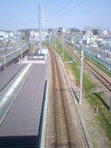 24590.jpg