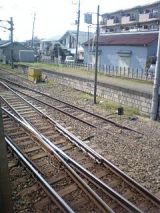 24598.jpg
