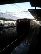 24604.jpg