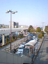 24607-3.jpg